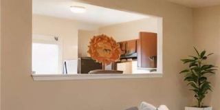 2837 Laurel Ridge Circle Gallery 8