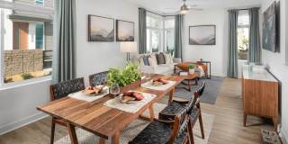 Homecoming at The Preserve Gallery 4