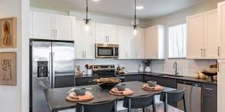 Livano Nations Gallery 1