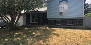 Roomy 3 bed/2 bath house with yard Roomy 3 bed/2 bath house with yard Gallery 1