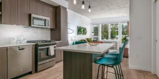 Hollis Hollis Gallery 1