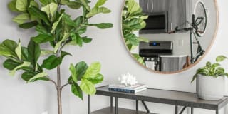 FortyOne 11 Apartments Gallery 12