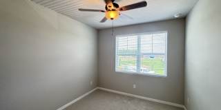 3379 Yellow Cassia Dr Gallery 10