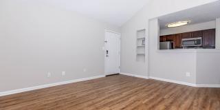 The Ashberry Gallery 65