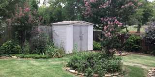 917 Renita Way Gallery 5