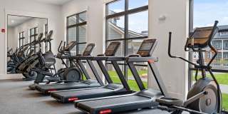 The Heron at River Island Gallery 30