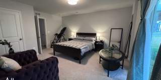 4959 Lexi Ln - 1 Gallery 62