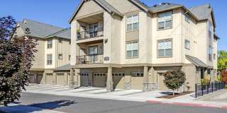 Springville Oaks Gallery 11