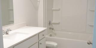 Available Soon! Gallery 34