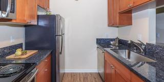 Carrington Gallery 47