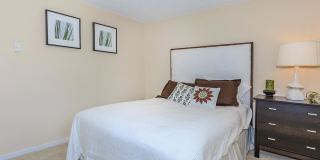 Carrington Gallery 50