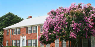 Georgian Woods Gallery 14