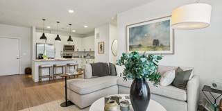 Bluestem at Loyola Gallery 4