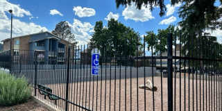 The Grove Gallery 8