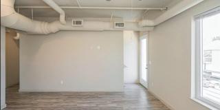 Old Row at Elmwood Gallery 15