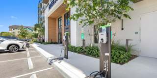 The Reese Gallery 26