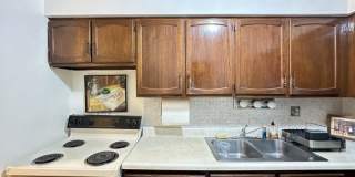 3823 Pine Grove Gallery 4