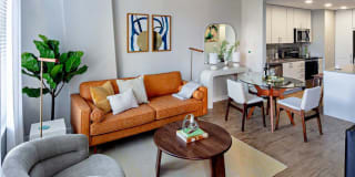 Avalon 555 President Gallery 18