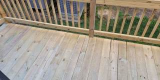 Hollybend Gallery 19