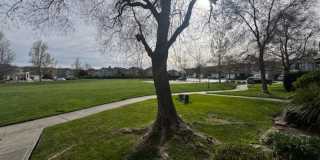 8224 Shay Cir Gallery 4