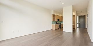 Olea Gallery 25