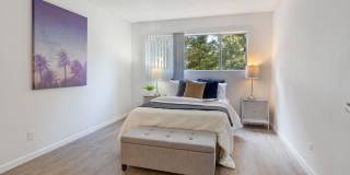 Marine View Apartments Gallery 16