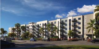 Cypress Sol Gallery 2