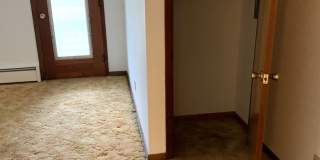 Nandale - Yellow Gallery 8