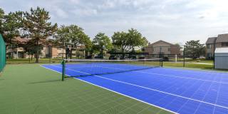 Shoal Creek Gallery 18