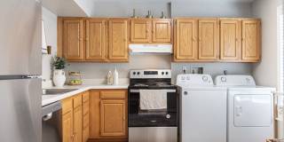 North Woods At The Four Seasons Gallery 14