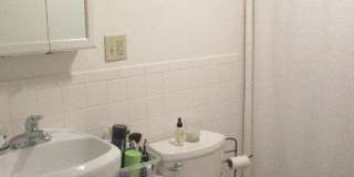 Great 3 Bed Available 6/1/26 Gallery 16