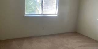 bg1224 bg1224 Gallery 13