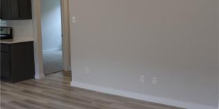 927 Lady Bird Gallery 5