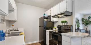 Village 1373 Gallery 7
