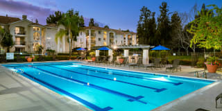 Central Park Gallery 1