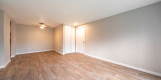 Village at Sota Gallery 6