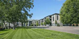 Aster Meadow Apartments Gallery 1