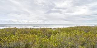 400 E Brigantine Ave Gallery 29