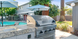 Pruneyard West Gallery 56