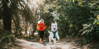 Windsor Queen Anne Gallery 46