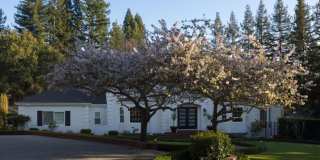 10 Meadow LN Gallery 1