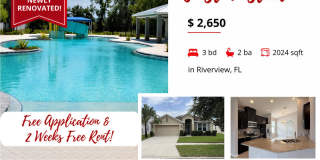 8222 Willow Beach Drive Gallery 1