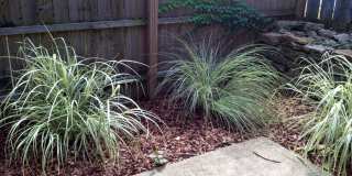 421 Hopkins Street-1 Gallery 36