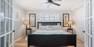 Dolphin Beach Gallery 7