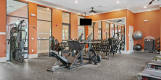 Mirrorton Apartments Gallery 15