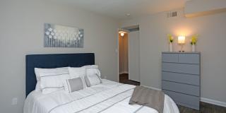 Arlington Apartments Gallery 8