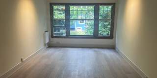 Newly Remodeled Condo on Capitol Hill - Close to UW Gallery 8