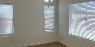 6940 Canary Ivy Way Gallery 15