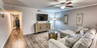 Juniper Springs Gallery 13