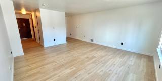 Escolier Gallery 30